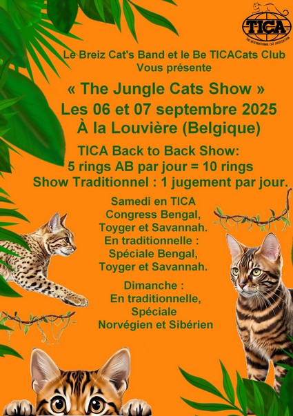Affiche LL Wild 2025